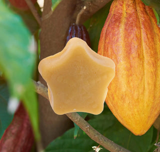 Cocoa Butter Lip Balm with cocoa background
