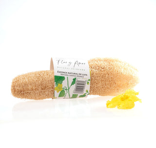 Natural Loofah Sponge