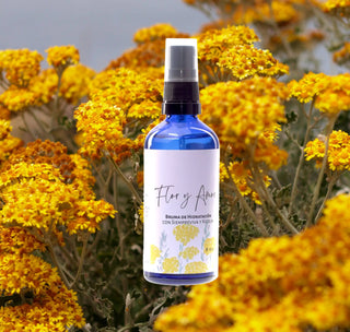 Hydration Mist with Helichrysum and Kigelia by Flor y Amor with Helichrysum background Hydrating Face Mist
