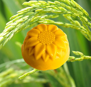Lotion bar for Flor y Amor with rice background