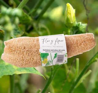 Natural Loofah Sponge with loofah background