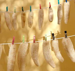 Natural Loofah Sponge